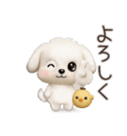 毎日ずっ〜と使える★愛犬マルチーズ【3D】（個別スタンプ：12）