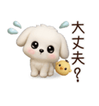 毎日ずっ〜と使える★愛犬マルチーズ【3D】（個別スタンプ：15）