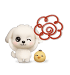 毎日ずっ〜と使える★愛犬マルチーズ【3D】（個別スタンプ：16）