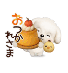 毎日ずっ〜と使える★愛犬マルチーズ【3D】（個別スタンプ：19）