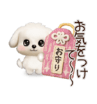 毎日ずっ〜と使える★愛犬マルチーズ【3D】（個別スタンプ：23）