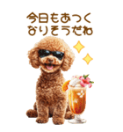 トイプードルの夏BIGスタンプ（個別スタンプ：2）