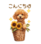 トイプードルの夏BIGスタンプ（個別スタンプ：4）