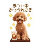 トイプードルの夏BIGスタンプ（個別スタンプ：6）