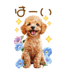 トイプードルの夏BIGスタンプ（個別スタンプ：10）