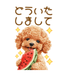 トイプードルの夏BIGスタンプ（個別スタンプ：15）