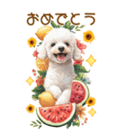 トイプードルの夏BIGスタンプ（個別スタンプ：17）