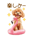 トイプードルの夏BIGスタンプ（個別スタンプ：20）