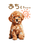 トイプードルの夏BIGスタンプ（個別スタンプ：23）