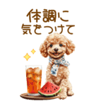 トイプードルの夏BIGスタンプ（個別スタンプ：24）
