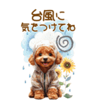 トイプードルの夏BIGスタンプ（個別スタンプ：25）