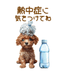 トイプードルの夏BIGスタンプ（個別スタンプ：26）