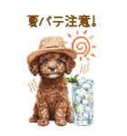 トイプードルの夏BIGスタンプ（個別スタンプ：27）