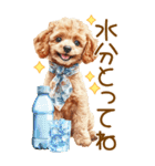 トイプードルの夏BIGスタンプ（個別スタンプ：29）