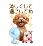 トイプードルの夏BIGスタンプ（個別スタンプ：30）