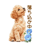 トイプードルの夏BIGスタンプ（個別スタンプ：34）