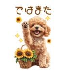 トイプードルの夏BIGスタンプ（個別スタンプ：39）