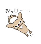 スーパーチワワちゃん（個別スタンプ：2）
