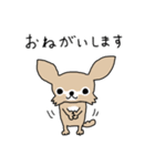 スーパーチワワちゃん（個別スタンプ：3）