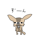 スーパーチワワちゃん（個別スタンプ：4）