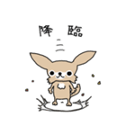 スーパーチワワちゃん（個別スタンプ：8）