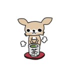 スーパーチワワちゃん（個別スタンプ：10）