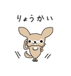 スーパーチワワちゃん（個別スタンプ：11）