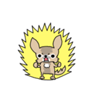 スーパーチワワちゃん（個別スタンプ：21）