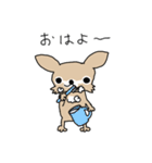 スーパーチワワちゃん（個別スタンプ：22）