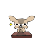 スーパーチワワちゃん（個別スタンプ：28）