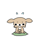 スーパーチワワちゃん（個別スタンプ：36）