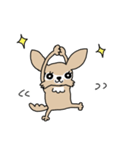 スーパーチワワちゃん（個別スタンプ：37）