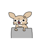 スーパーチワワちゃん（個別スタンプ：40）