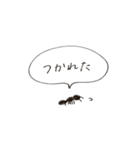 働きアリのまいにち（個別スタンプ：25）