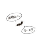 働きアリのまいにち（個別スタンプ：39）