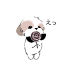 シーズーのスタンプ Shih Tzu ＆ wine s（個別スタンプ：3）