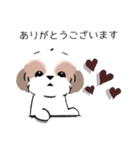 シーズーのスタンプ Shih Tzu ＆ wine s（個別スタンプ：8）