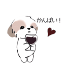 シーズーのスタンプ Shih Tzu ＆ wine s（個別スタンプ：19）