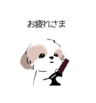 シーズーのスタンプ Shih Tzu ＆ wine s（個別スタンプ：23）