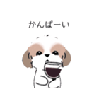 シーズーのスタンプ Shih Tzu ＆ wine s（個別スタンプ：24）