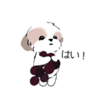 シーズーのスタンプ Shih Tzu ＆ wine s（個別スタンプ：31）