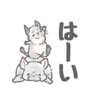 ボフボフチンチラとデグーのスタンプ2（個別スタンプ：2）