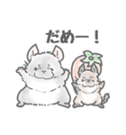 ボフボフチンチラとデグーのスタンプ2（個別スタンプ：6）