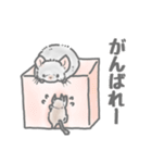 ボフボフチンチラとデグーのスタンプ2（個別スタンプ：26）