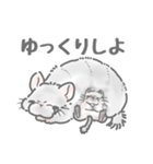 ボフボフチンチラとデグーのスタンプ2（個別スタンプ：27）
