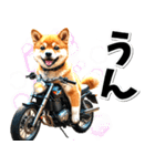 即返信♡バイク好き 豆柴（個別スタンプ：1）