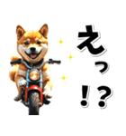即返信♡バイク好き 豆柴（個別スタンプ：2）