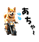 即返信♡バイク好き 豆柴（個別スタンプ：5）