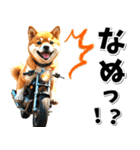 即返信♡バイク好き 豆柴（個別スタンプ：6）