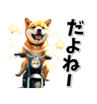 即返信♡バイク好き 豆柴（個別スタンプ：9）